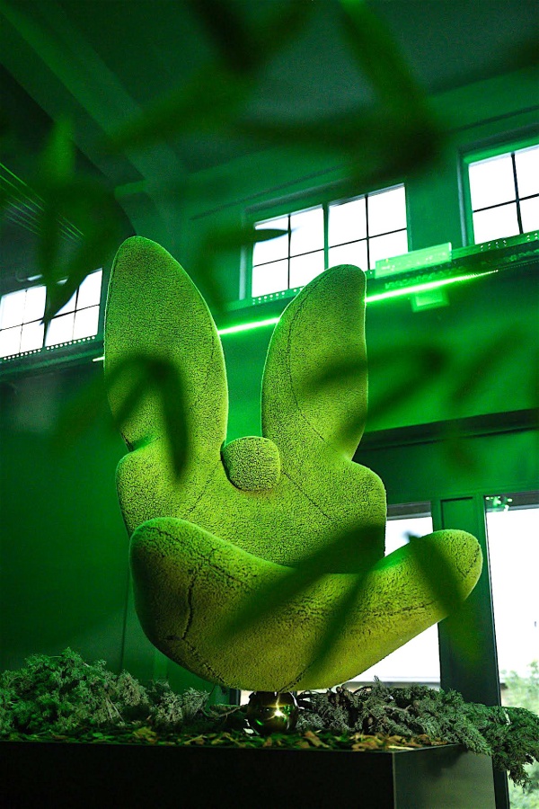 Green Rabbit